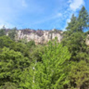 Meet your Posher, Benjamin